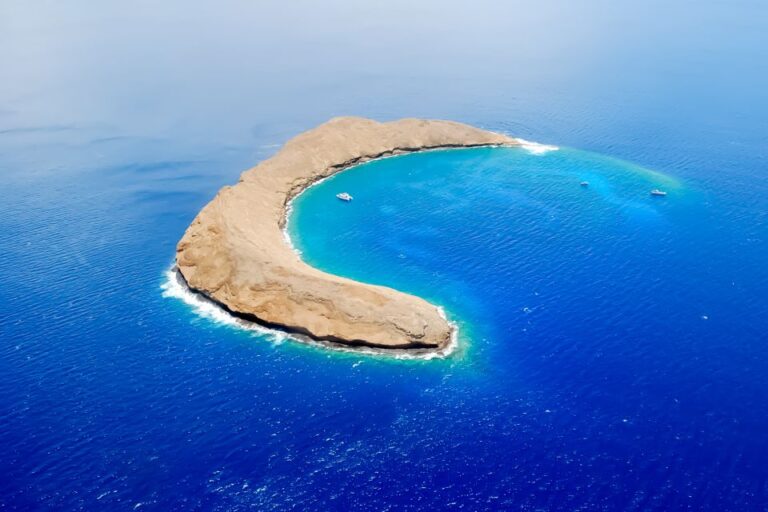 South Maui: Molokini Wild Eco Adventure From Maalaea Harbor Activity Overview