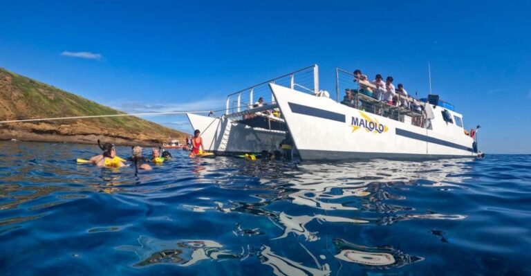 South Maui: Pm Snorkel To Coral Gardens Or Molokini Crater Overview Of The Activity