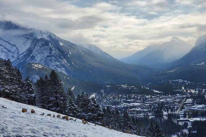 Spectacular Banff Day Trip Tour Overview