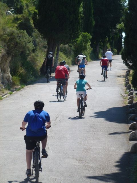 Split 3 Hour Guided Bike Tour Tour Overview And Details