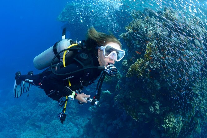 SSI Open Water Diver Course in Tenerife - Confined-Water Sessions