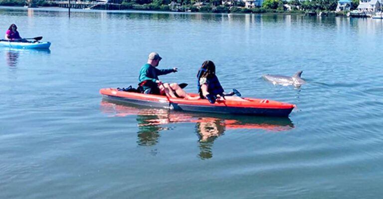 St. Augustine: Dolphin And Manatee Paddle Or Kayak Tour Tour Overview And Pricing