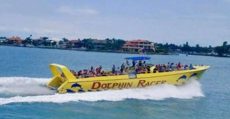 St. Pete Beach: Dolphin Racer Cruise By Speedboat Activity Overview