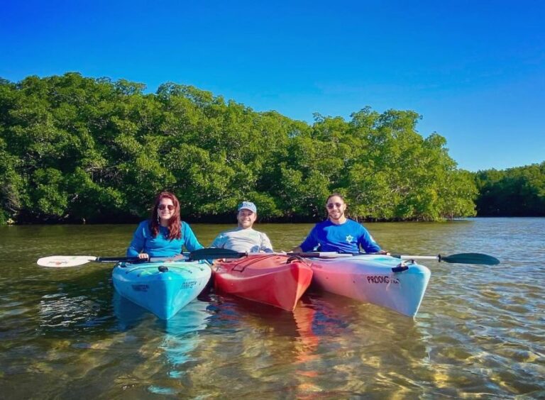 St. Petersburg, Fl: Weedon Island Kayak Tour Location And Duration