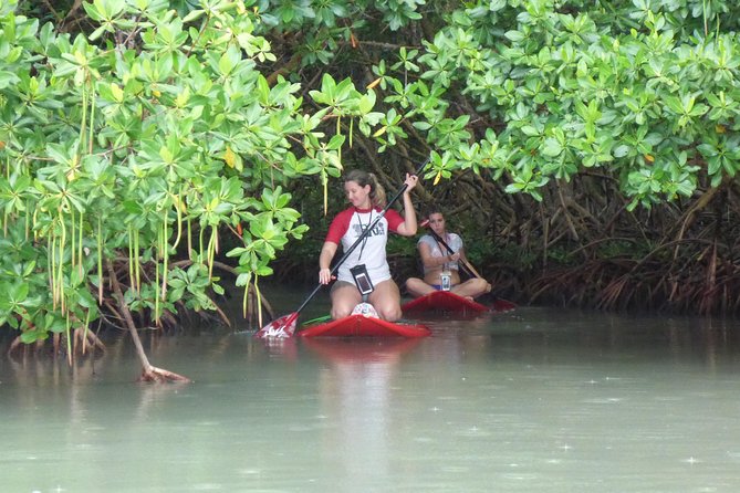 Stand Up Paddle In Paradise Paddle Board And Equipment Included