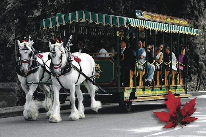 Stanley Park Horse Drawn Tour Tour Overview