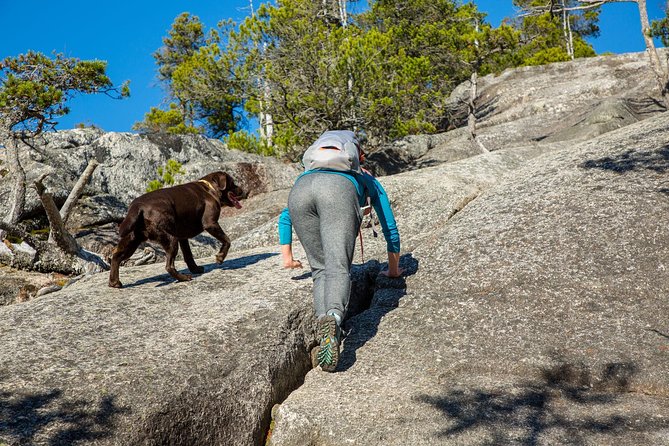 Stawamus Chief Hike & Local Brewery Tasting - Stawamus Chief Trail Hike