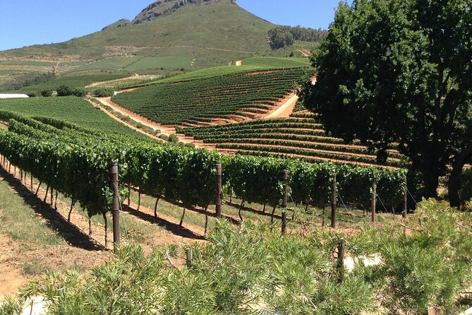 Stellenbosch Franschhoek Full-Day Tour With Cheese Tasting - Tour Overview