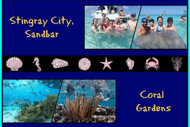 Stingray City Experience From Grand Cayman (2 Stops Adventure) Meeting And Pickup Options