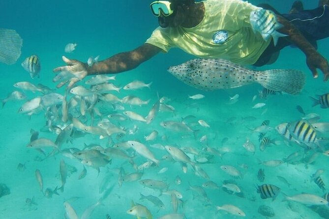 Stingrays, Starfish And Snorkeling Tour Tour Overview