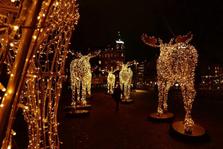 Stockholm: Christmas Lights And Market Walking Tour Tour Overview