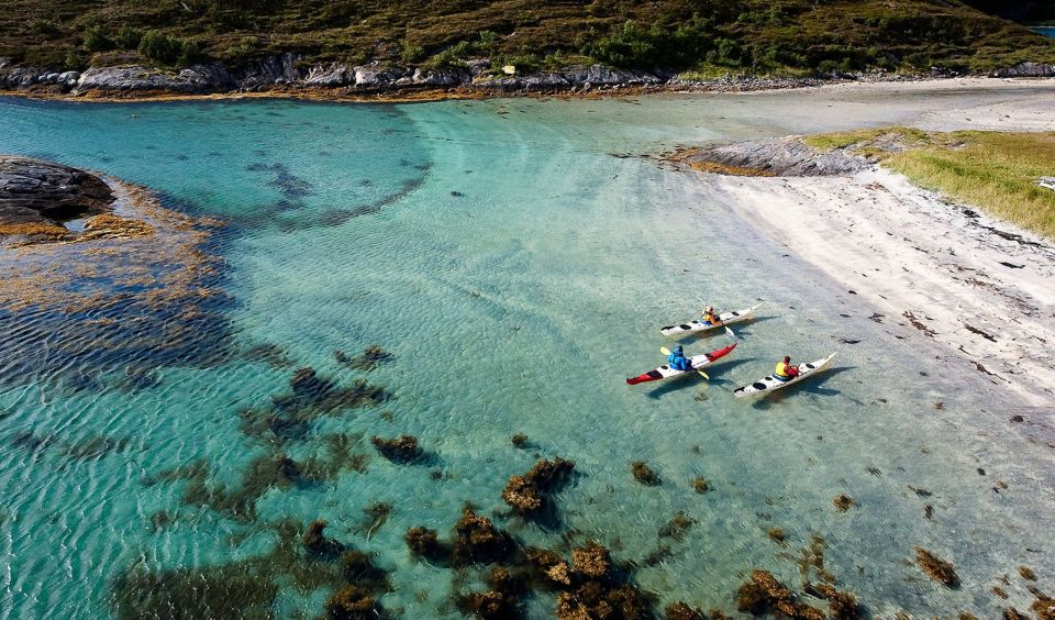 Stockholm: Full-Day Archipelago Kayaking Adventure - Overview of the Adventure