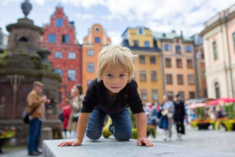 Stockholm Old Town Walking Tour And Djurgården Boat Cruise Tour Overview