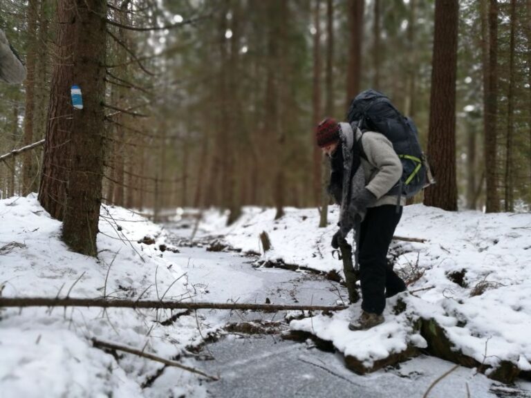 Stockholm: Winter Nature Hike With Campfire Lunch Exploring The Pristine Stockholm Forest