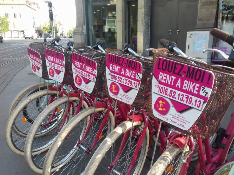 Strasbourg: 1 Day Bike Rental Cathedrals Architectural Marvels