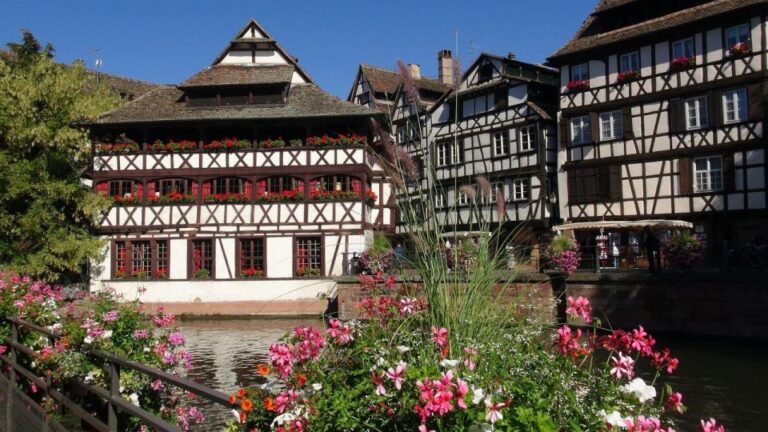 Strasbourg: Alsace Private Tour With Castle Entry Ticket Tour Highlights