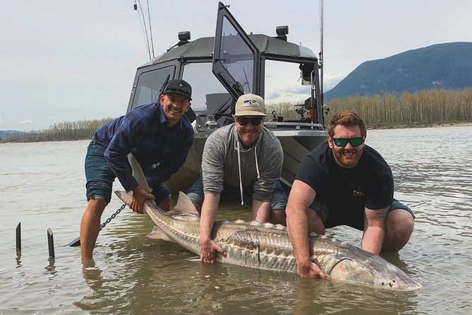 Sturgeon Fishing On The Fraser River Location And Meeting Point