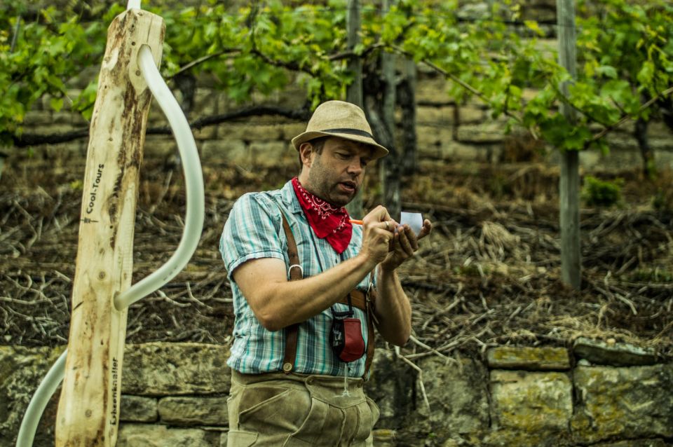 Stuttgart: Guided Vineyards Tour - Overview of the Tour