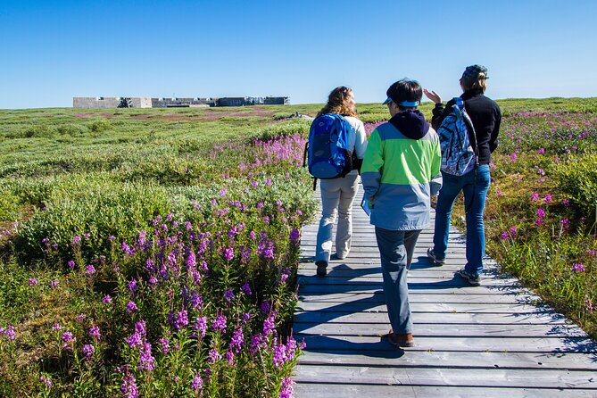 Subarctic Discovery: Churchill Beluga Whales - Exploring the Subarctic Landscape