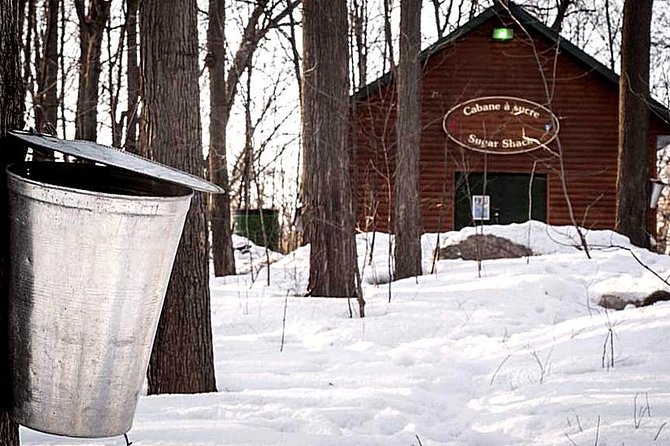 Sugar Shack (Feb to May) Maple Syrup Private Day Tour With Lunch From Montreal - Tour Overview