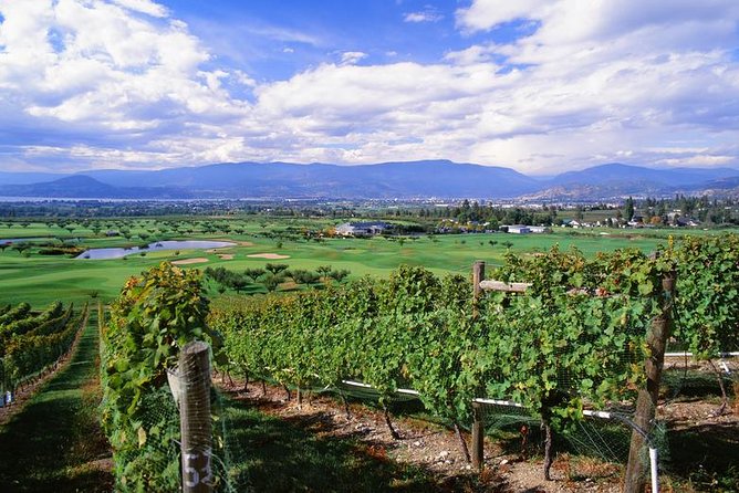 Summerland Wine Tour Classic 4 Wineries Inclusions