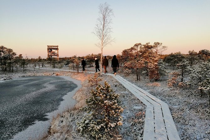 Sunrise At Kemeri National Park + Jurmala Overview Of The Experience