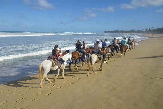 Sunset Beach Horsebackriding Punta Cana - Explore Punta Canas Countryside