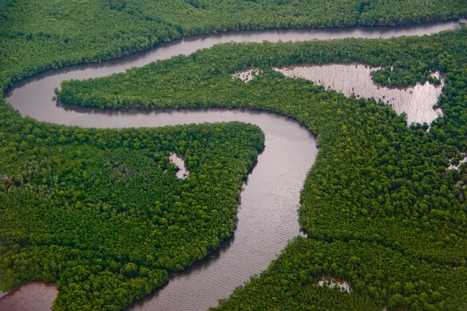 Sunset Boat Tour Into Caroni Wetlands Inclusions