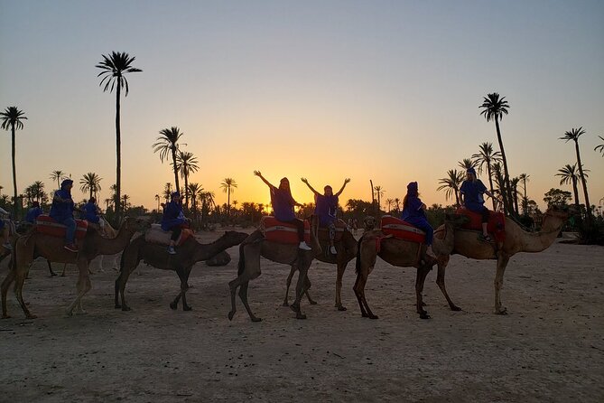 Sunset Camel Ride In The Palm Grove Of Marrakech Inclusions