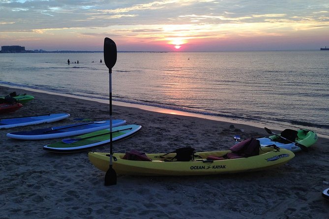 Sunset Dolphin Kayak Tours - Overview