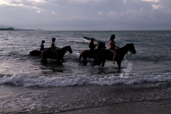 Sunset Horseback Riding In Puerto Plata Activity Details