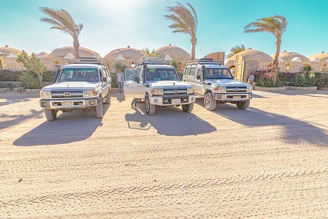 Super Safari: Jeep, Buggy, Quad With Lunch and Show in Hurghada - Tour Overview