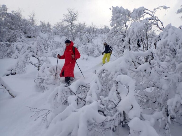 Svolvaer: Snowshoeing Half Day Activity Overview