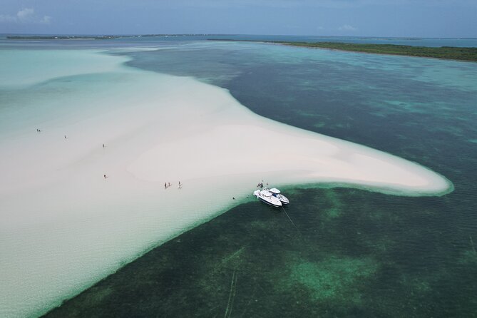 Swim With The Pigs! Half Day Harbour Island Private Boat Tour Meeting And Pickup