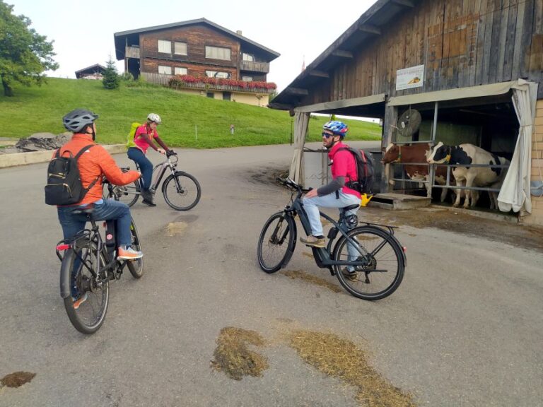 Swiss Army Knife Valley Bike Tour And Lake Lucerne Cruise Tour Overview