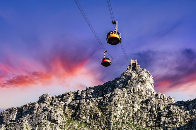 Table Mountain, Boulders Penguins & Cape Point, Private Day Tour Included Services