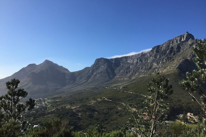 Table Mountain Hike (all Routes) Private Tour Tour Overview