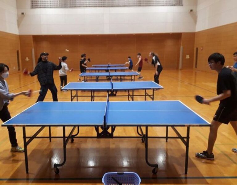 Table Tennis In Osaka With Local Players! Activity Overview