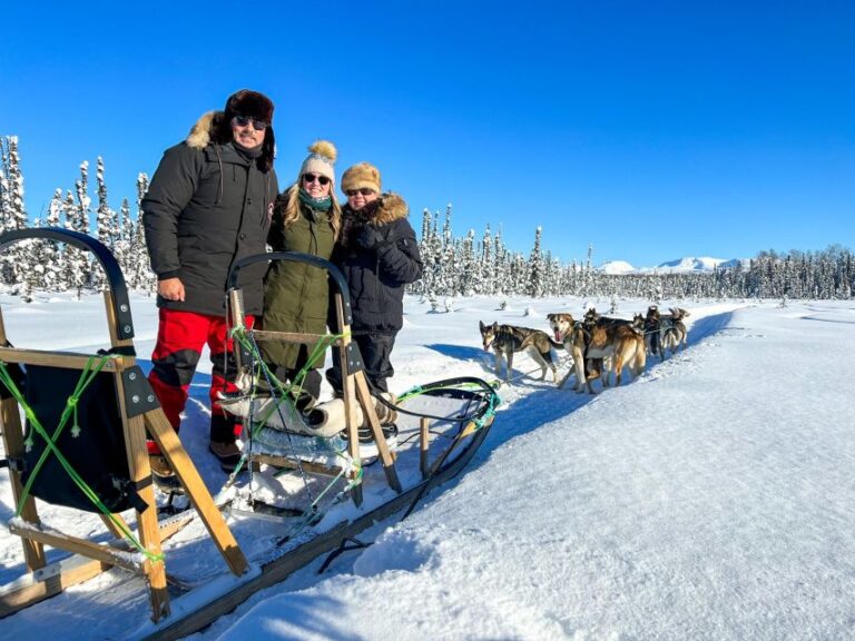 Talkeetna: Winter Dog Sled Tour Morning Or Night Mush! Overview Of The Dog Sled Tour