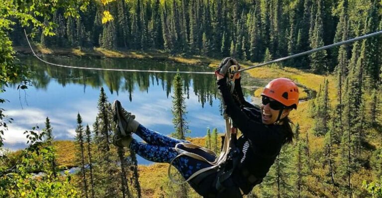 Talkeetna: Zipline Tour Tour Overview