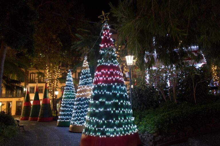 Tallahassee Delights: A Christmas Tour Through Art And Parks Overview Of The Experience