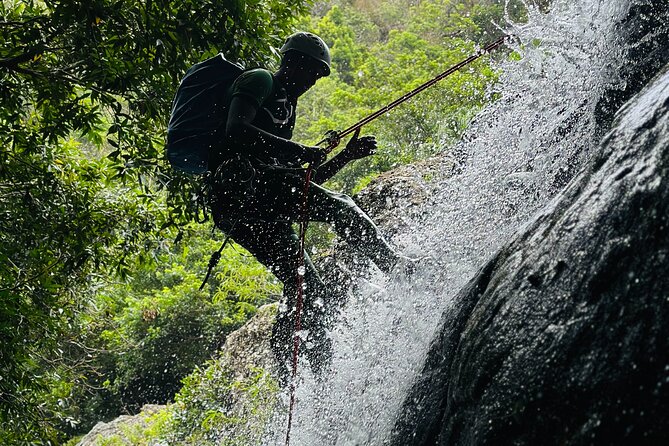 Tamarind Falls Abseiling - Overview