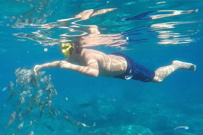 Taormina Snorkeling Experience Overview Of The Experience