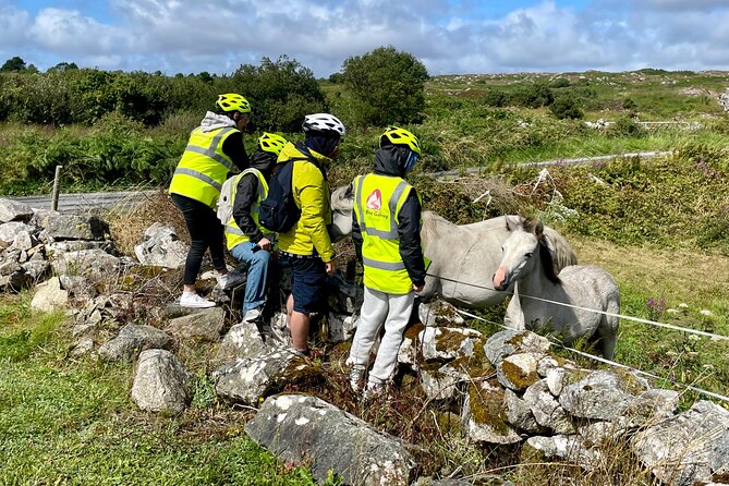 Taste of Connemara Tour by Electric Fat Tyre Bike - Inclusions