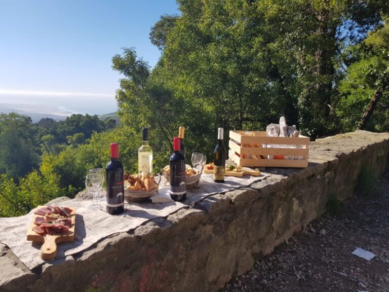 Taste Of Sintra's Wonders Wine&tapas Private Tour Tour Details