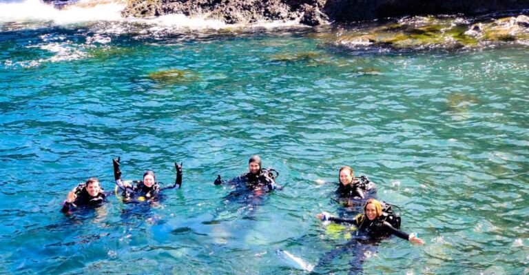 Tenerife: 2 Dive Private Scuba Discovery Course Course Overview