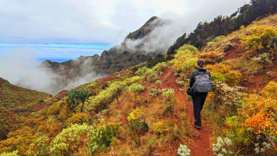 Tenerife: Anaga Mountains and Laurel Forest Hiking Tour - Tour Overview and Pricing