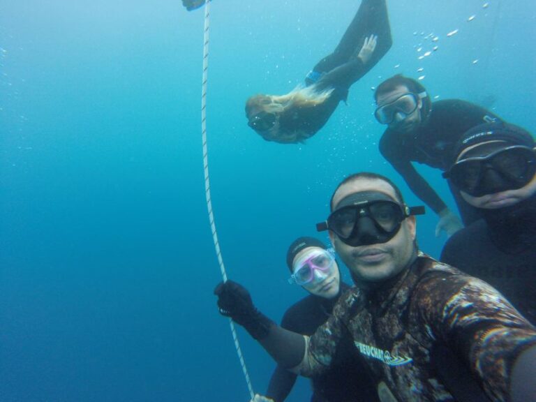 Tenerife: Full Day Of Discovering Freediving Program Overview