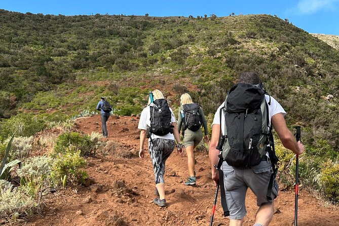 Tenerife: Hiking In Anaga Mountains And Enchanted Laurel Forest Overview Of The Activity