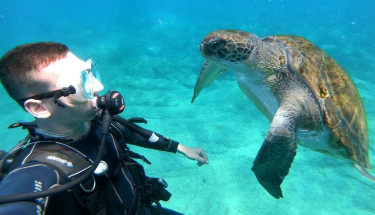 Tenerife: Puerto Colon Discover Scuba Diving Trip Activity Overview